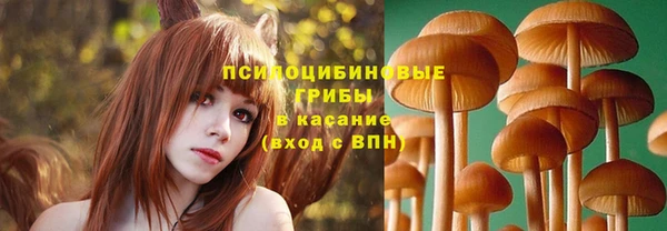 а пвп мука Алексин