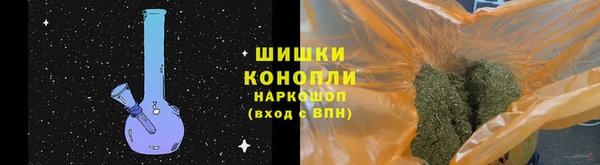 гашик Ельня