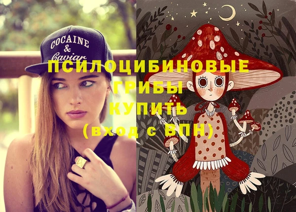 МДПВ Абинск