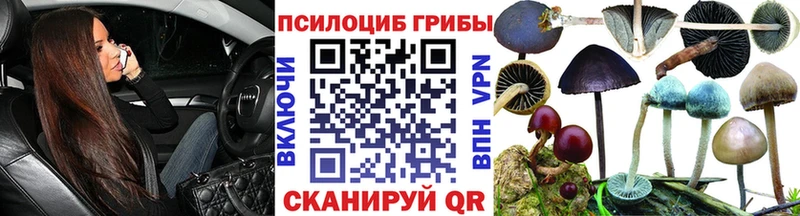 как найти закладки  Апатиты  Галлюциногенные грибы Magic Shrooms 